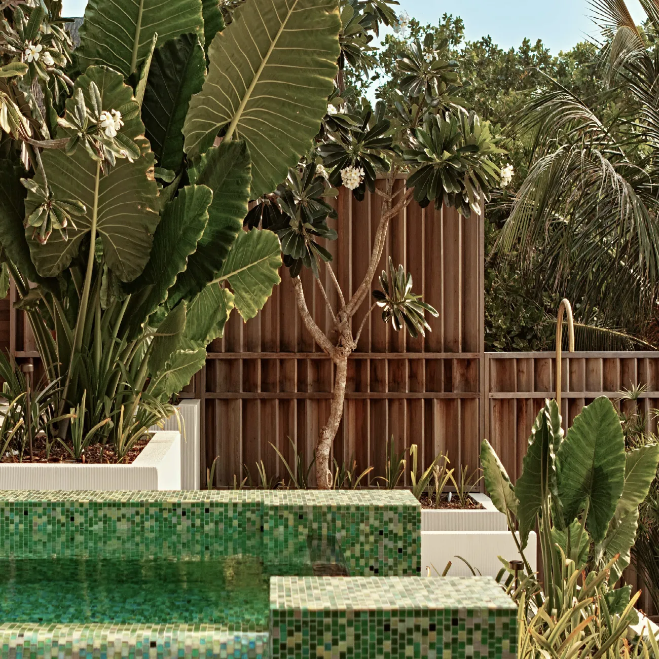 Villa pool2 here