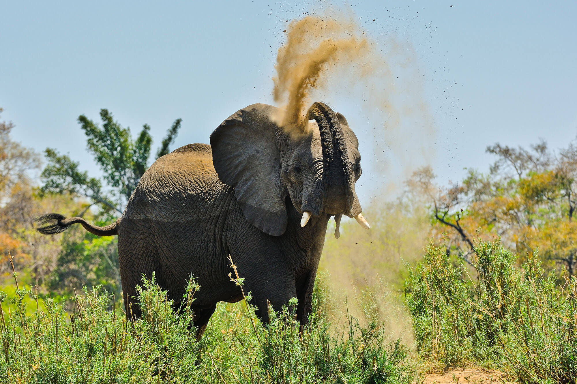Hippo Lodge en Kafue