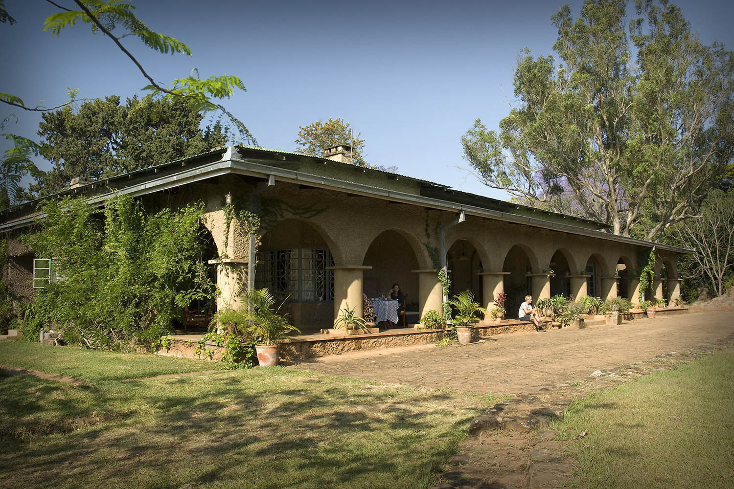 Satemwa Tea Estate | LAT.40