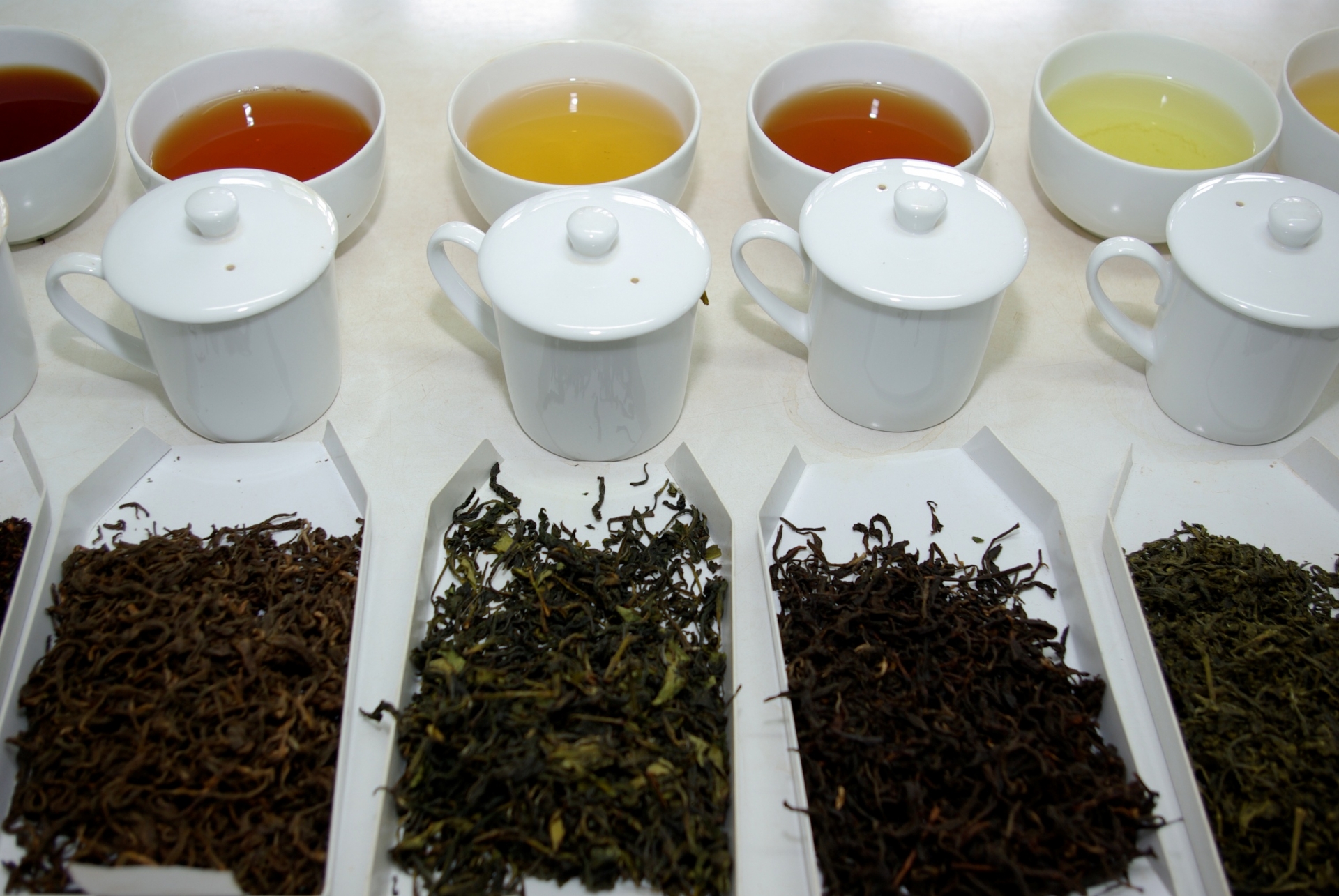 Huntingdon House en Satemwa Tea Estate