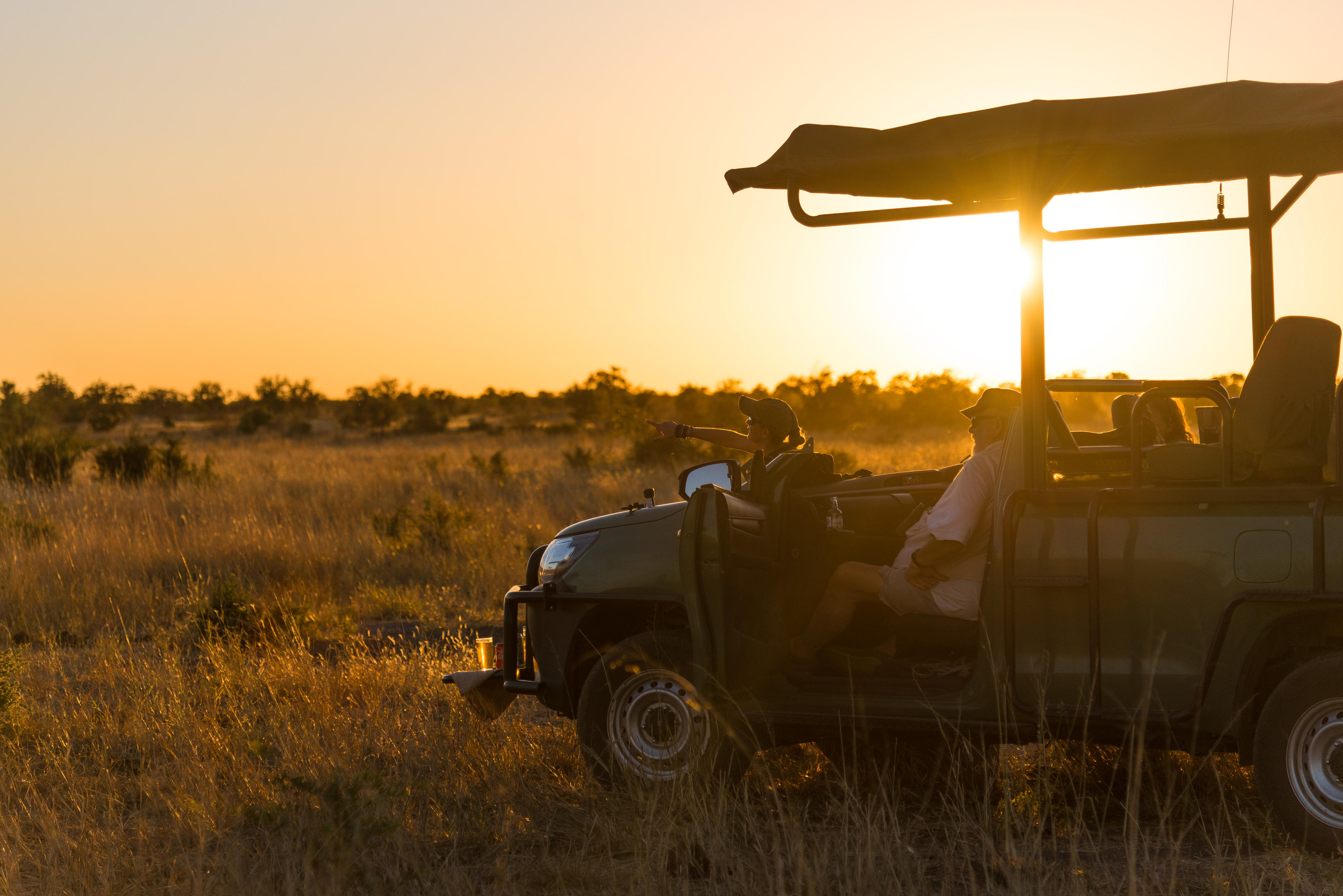 Hwange Bush Camp en Hwange