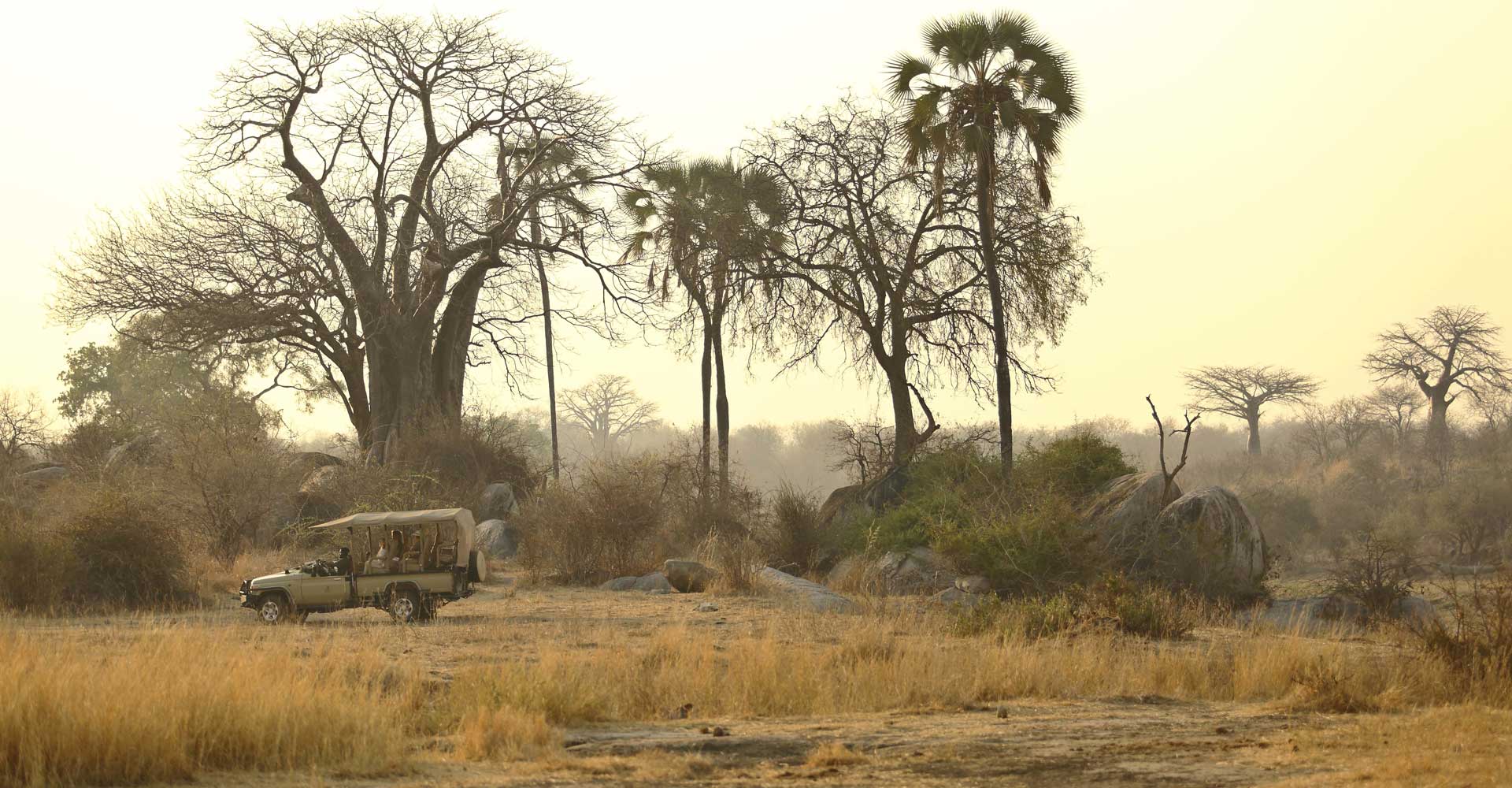 Ikuka Safari Camp en Ruaha