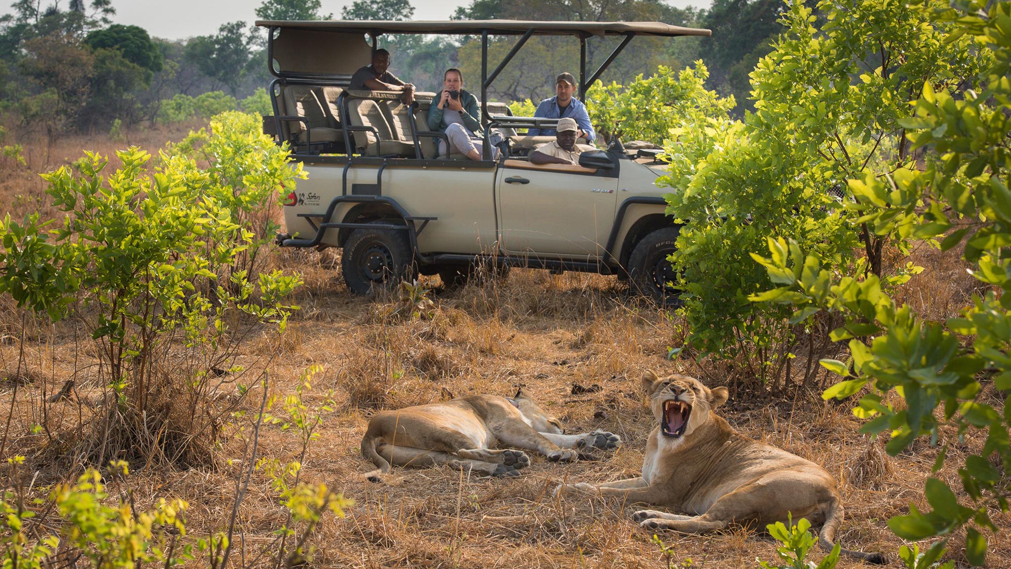 Ila Safari Lodge by Green Safaris en Kafue