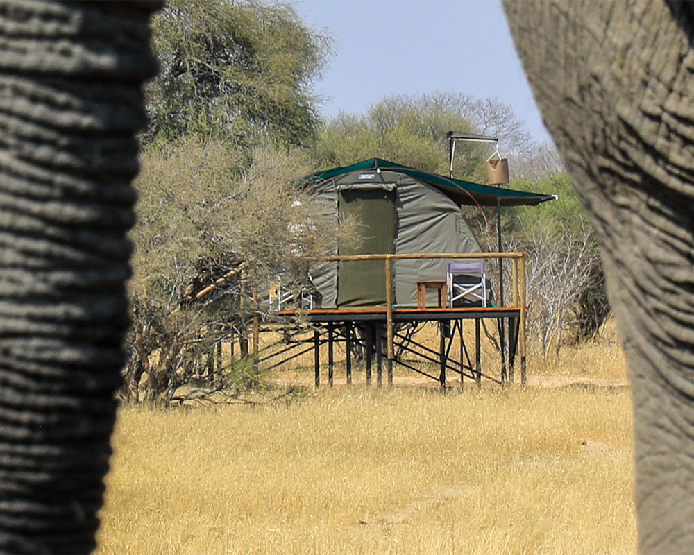 Jozibanini Camp en Hwange