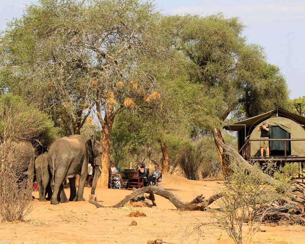 Jozibanini Camp en Hwange
