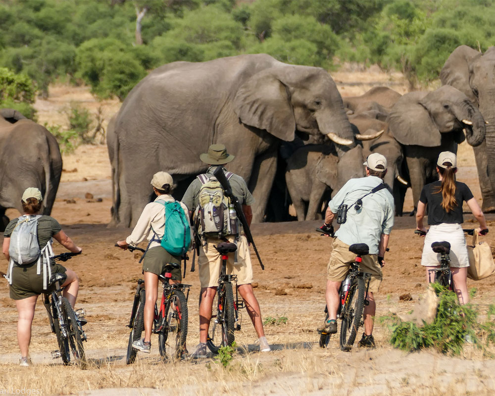 Jozibanini Camp en Hwange