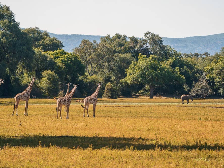 Kafunta Sunset House en Luangwa Valley