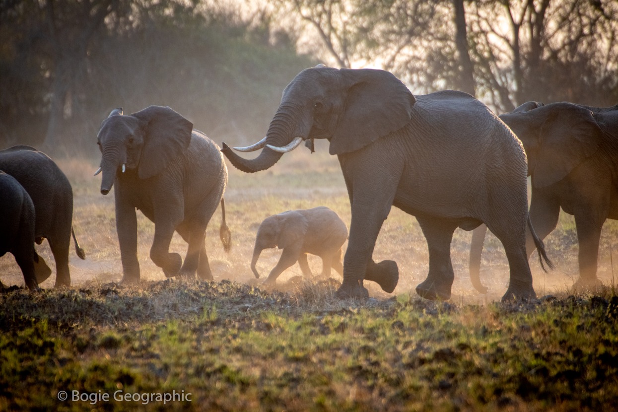 Kasonso Busanga Camp en Busanga Plains
