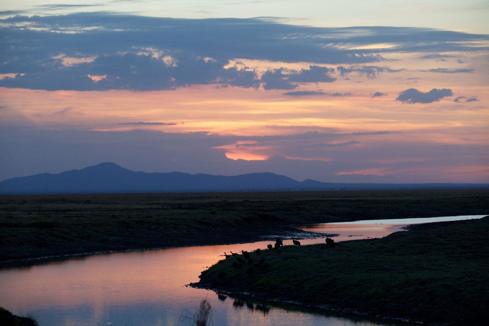 Katavi Wildlife Camp en Katavi