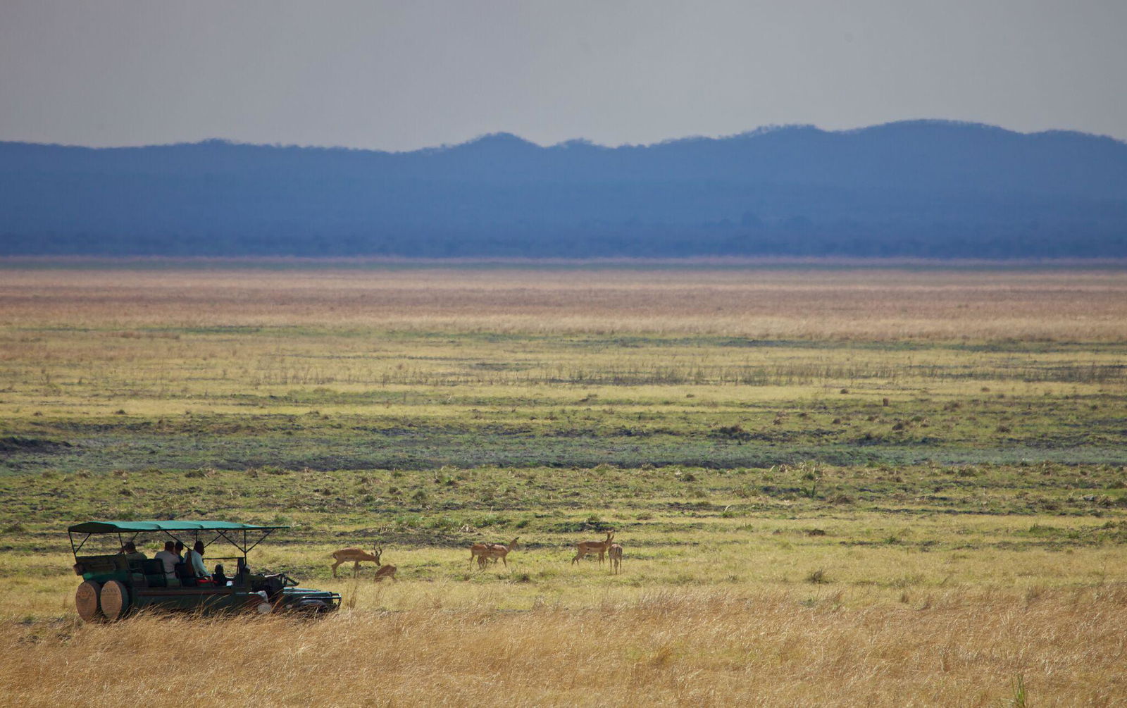 Katavi Wildlife Camp en Katavi