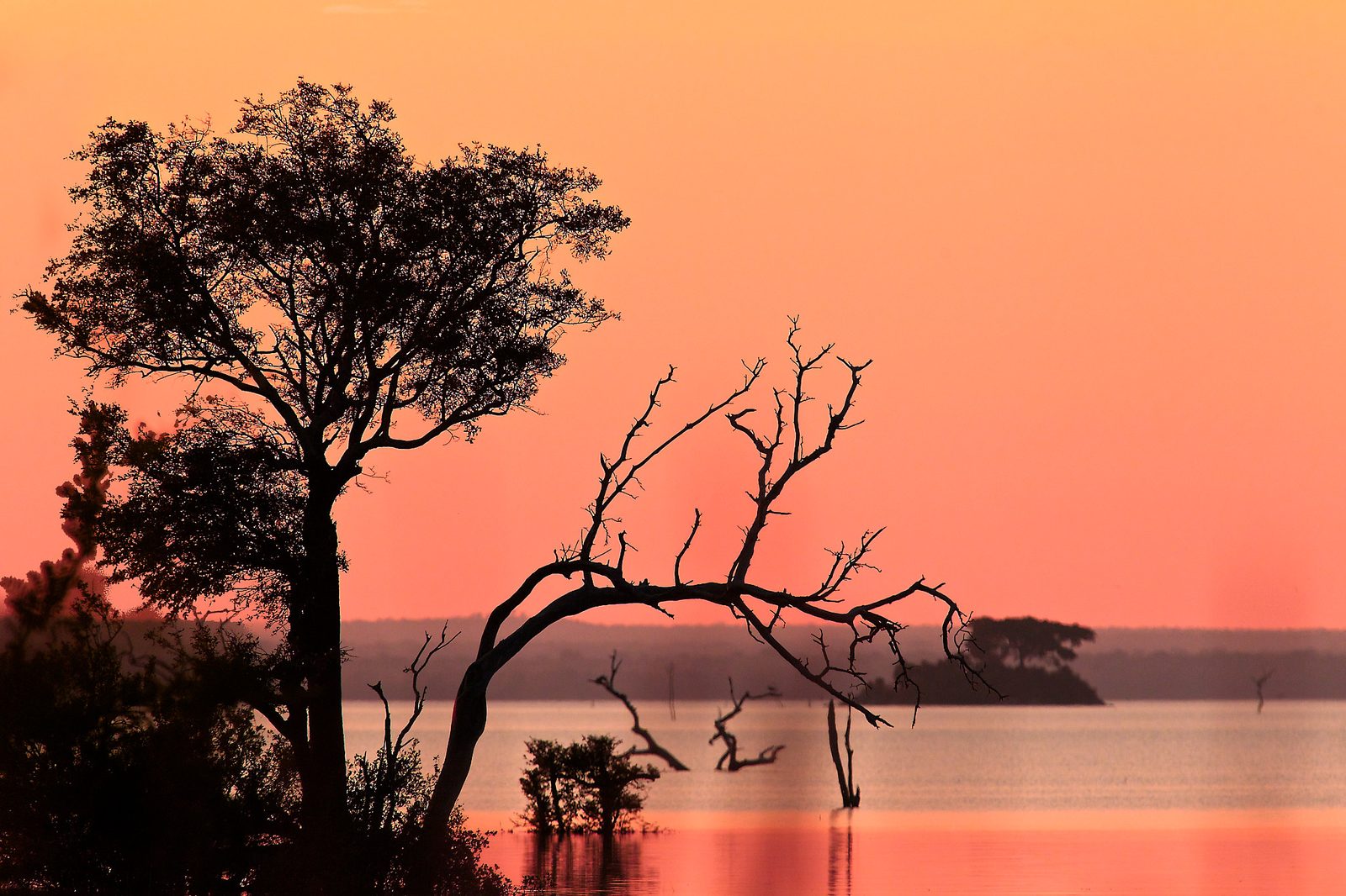 Konkamoya Lodge en Kafue