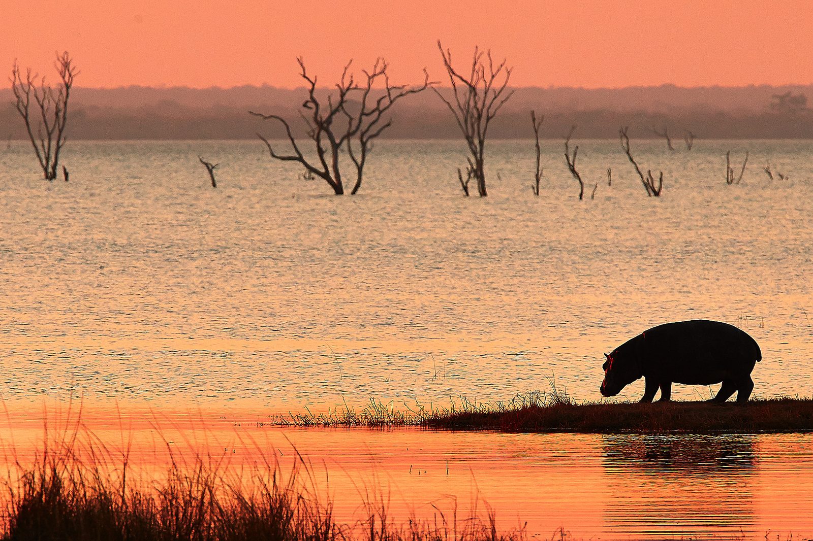 Konkamoya Lodge en Kafue