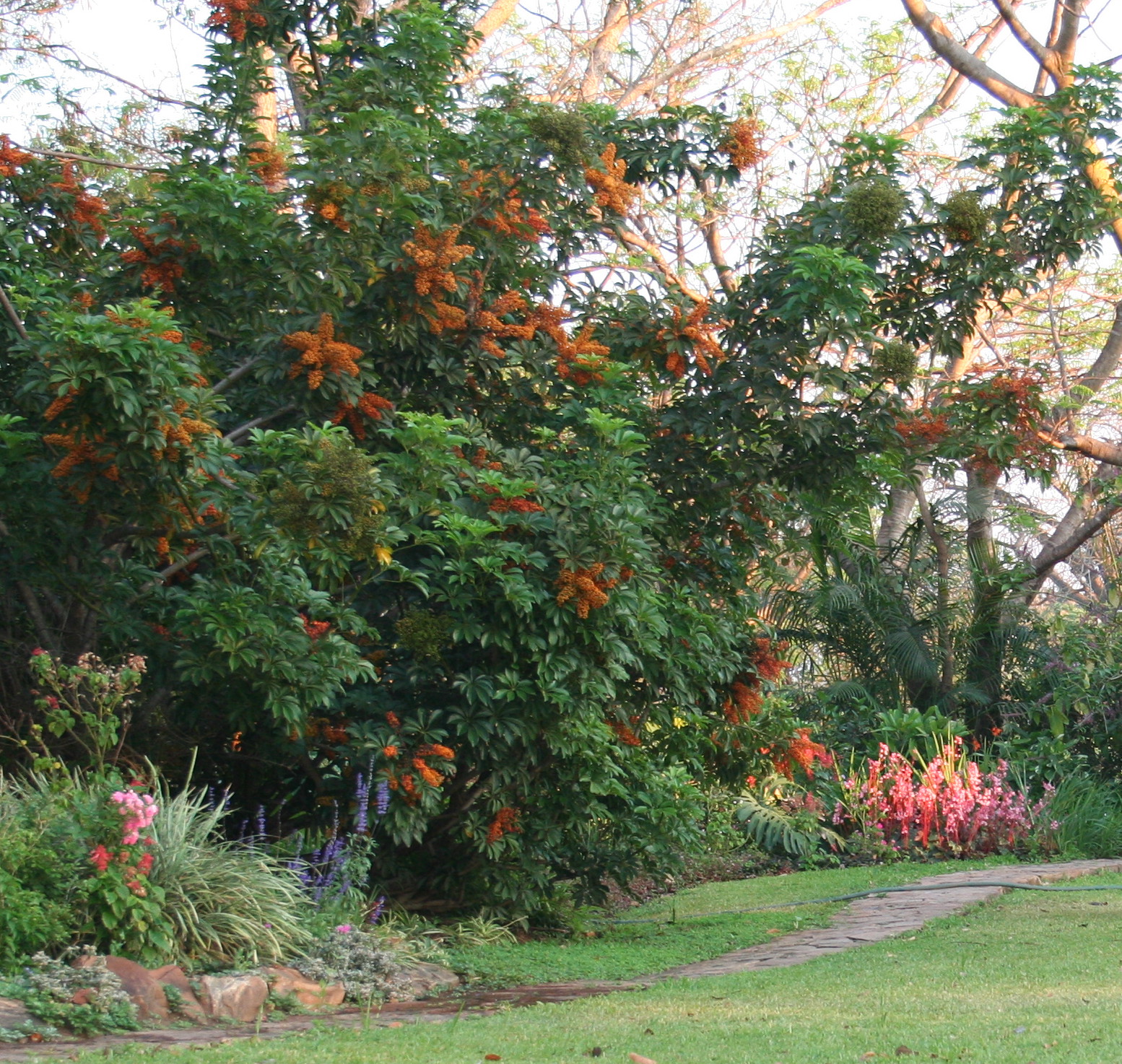 Kumbali Country Lodge en Lilongwe