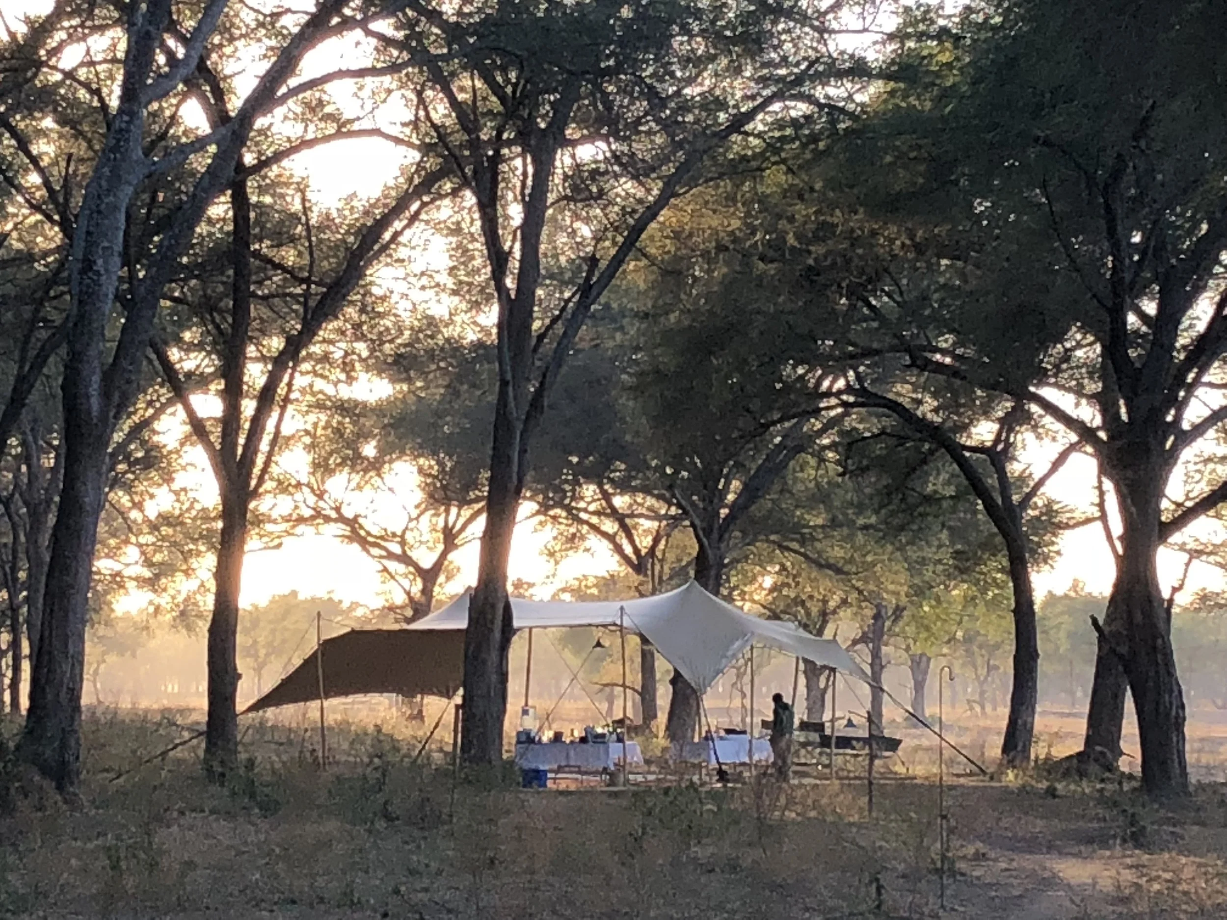 Fly+camp+main+area+lower+zambezi