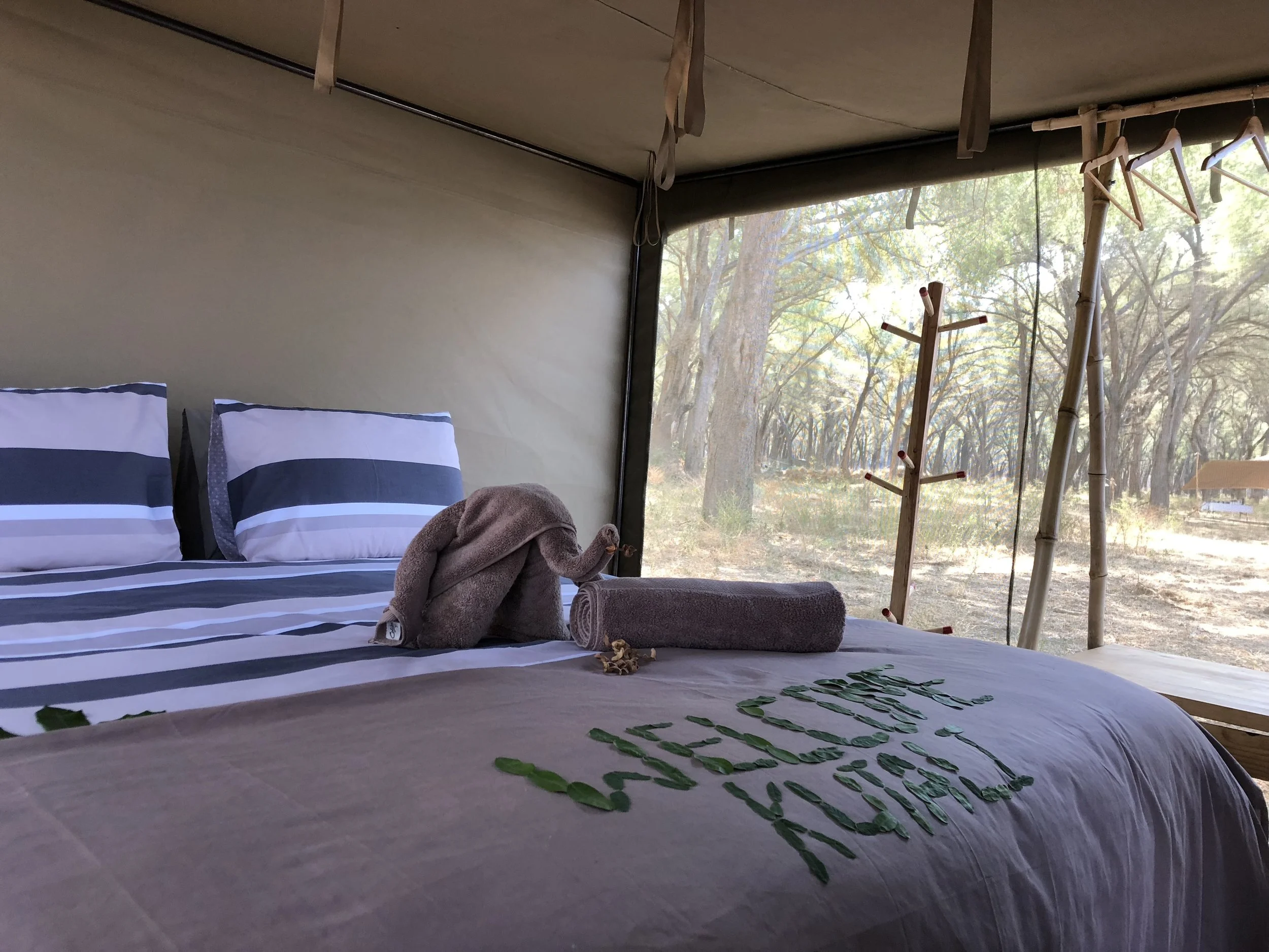 Kutali+flycamp+lower+zambezi