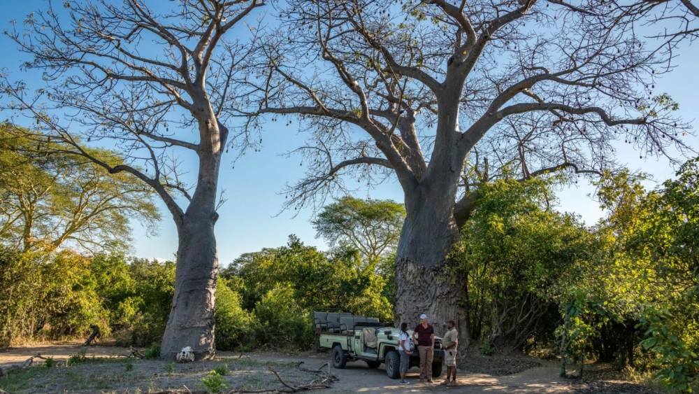 Kuthengo Camp en Parque Nacional de Liwonde