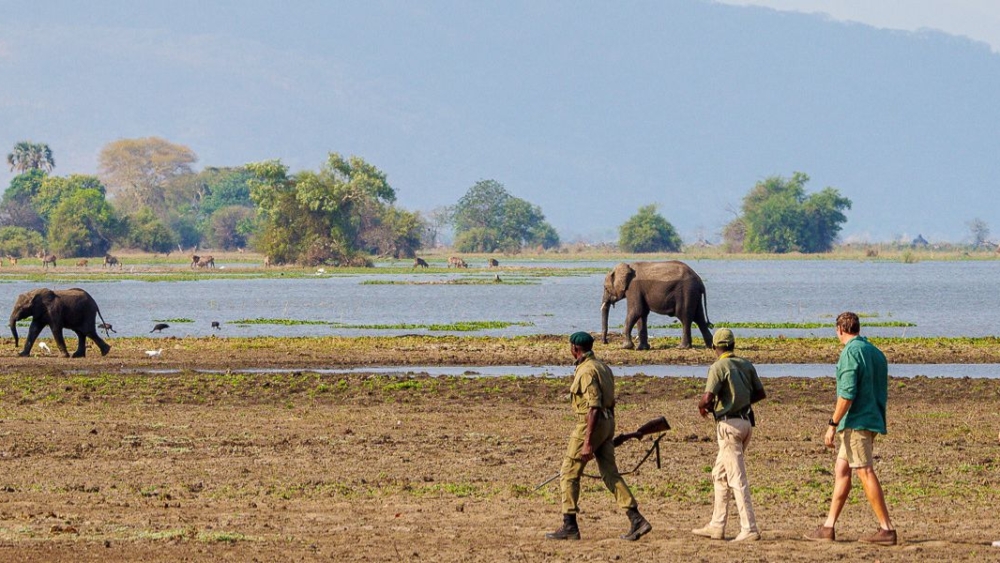 Kuthengo Camp en Parque Nacional de Liwonde