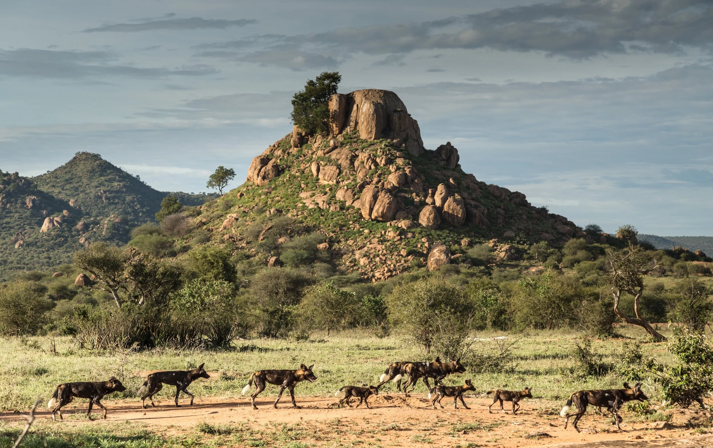 Laikipia Wilderness Camp en su destino