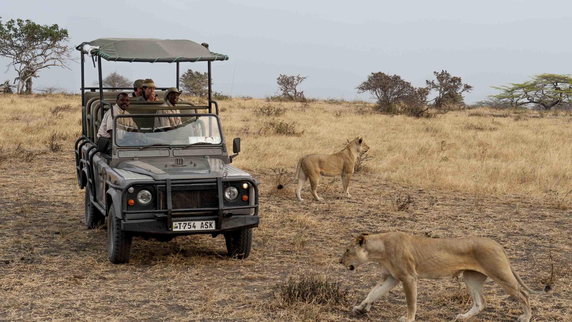 4 game drive 4