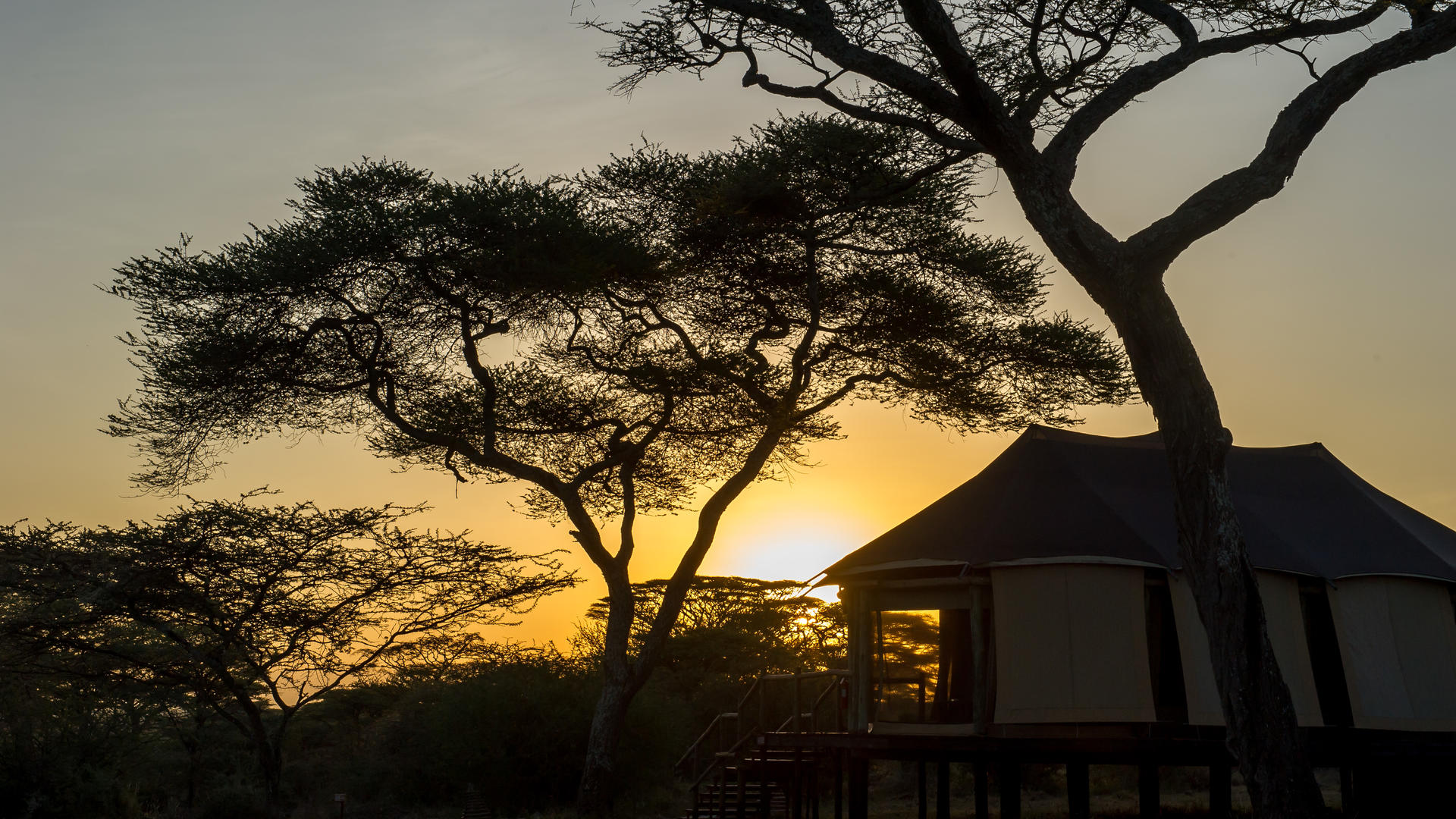 Lake Masek Tented Lodge en Ngorongoro