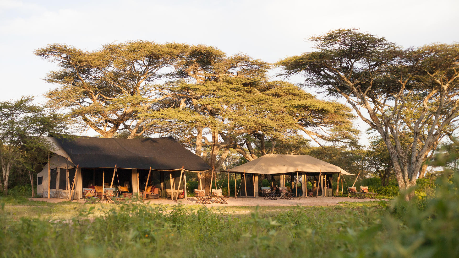 Legendary Nyasi Tented Camp en su destino
