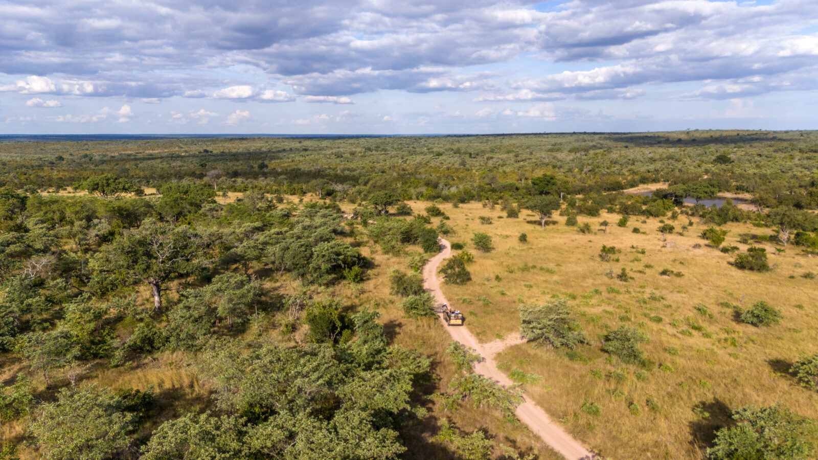 Leopard Hills en su destino