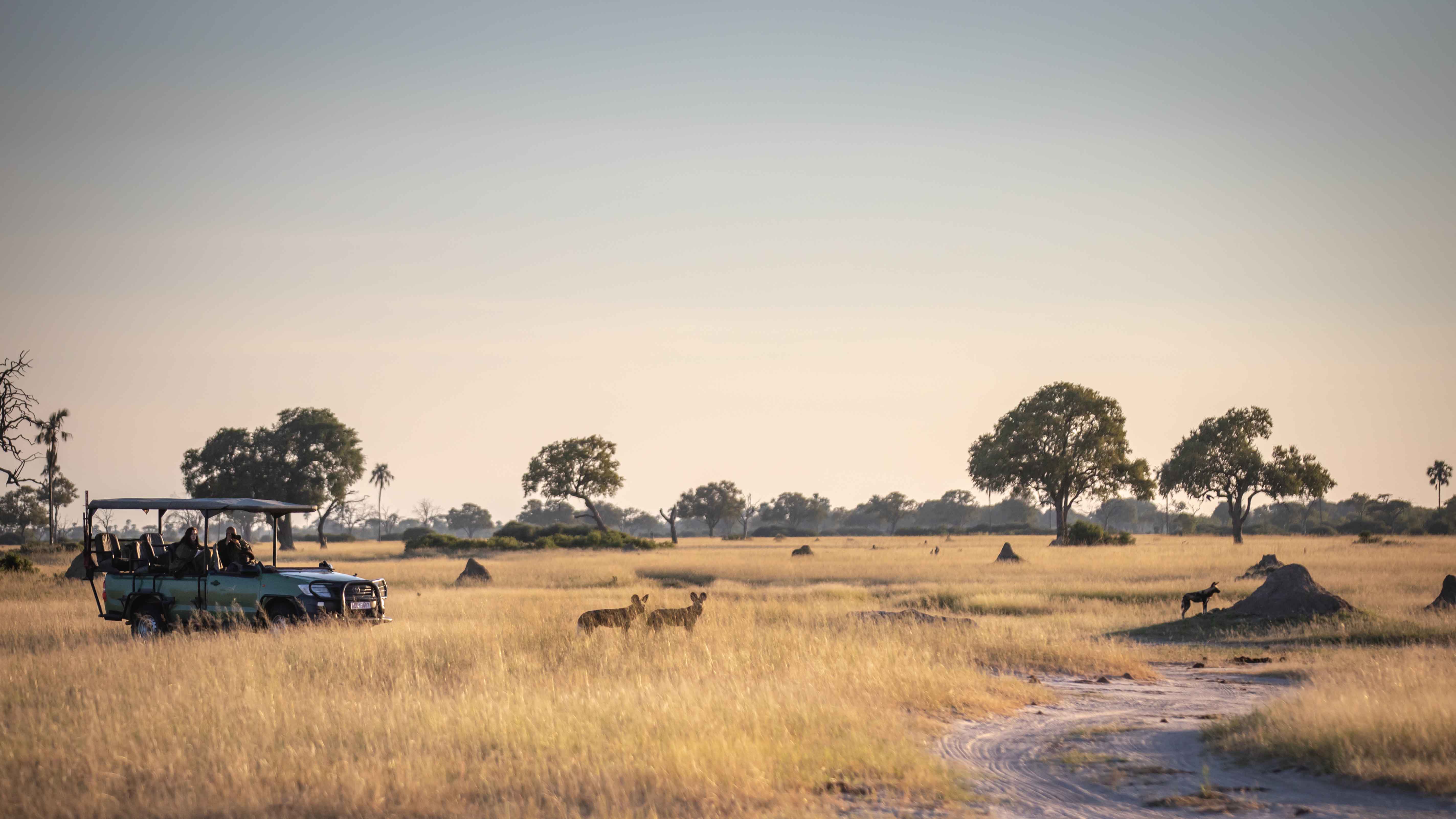 Little Makalolo Camp en Hwange