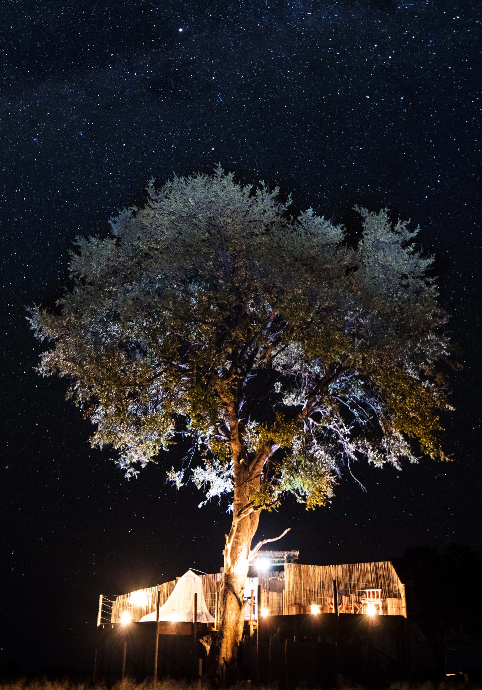 Little Makalolo Camp en Hwange