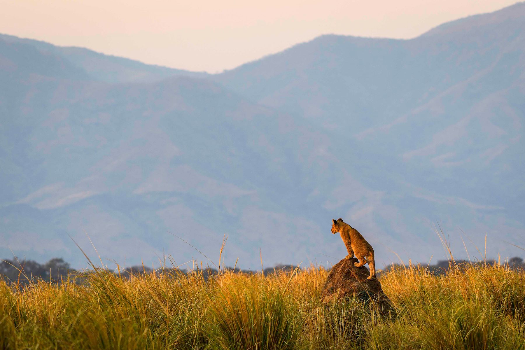 Little Ruckomechi Camp en Mana Pools