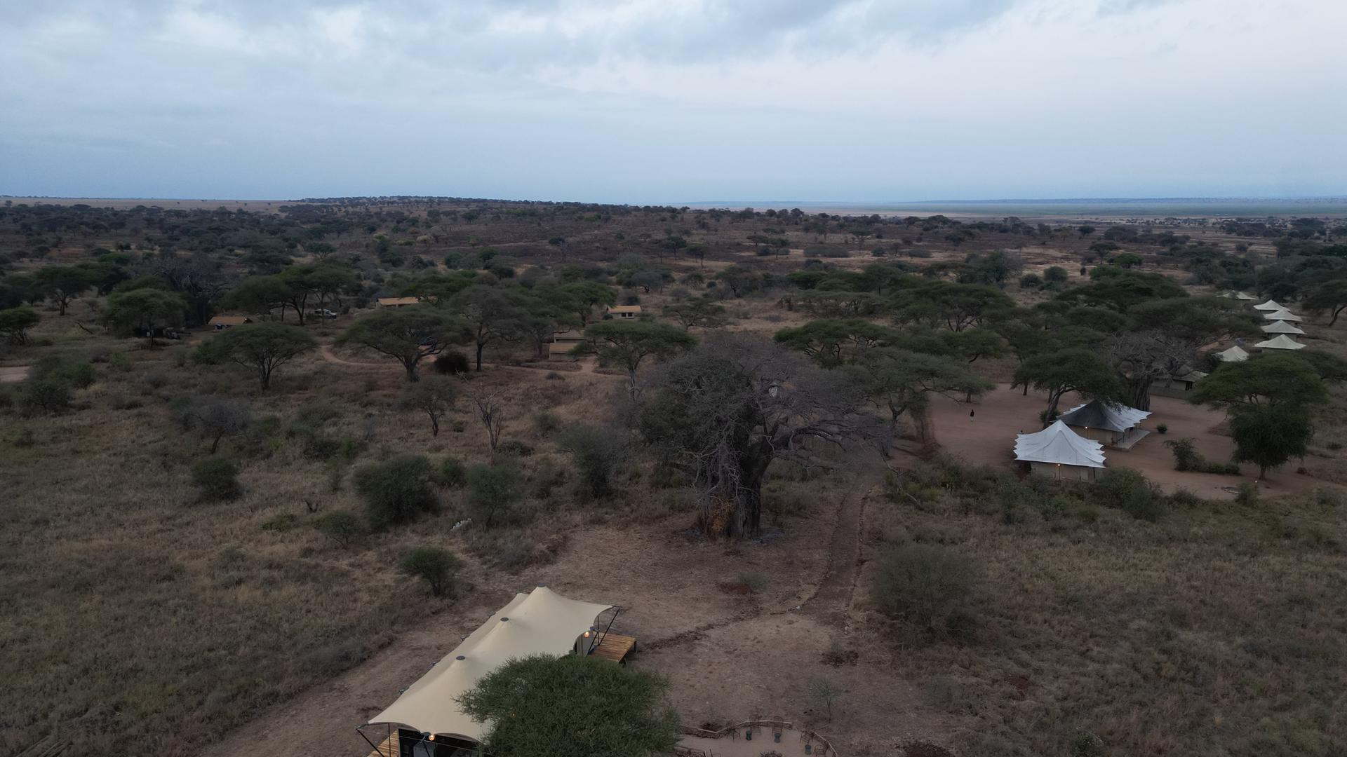 Lolkisale Camp en Tarangire