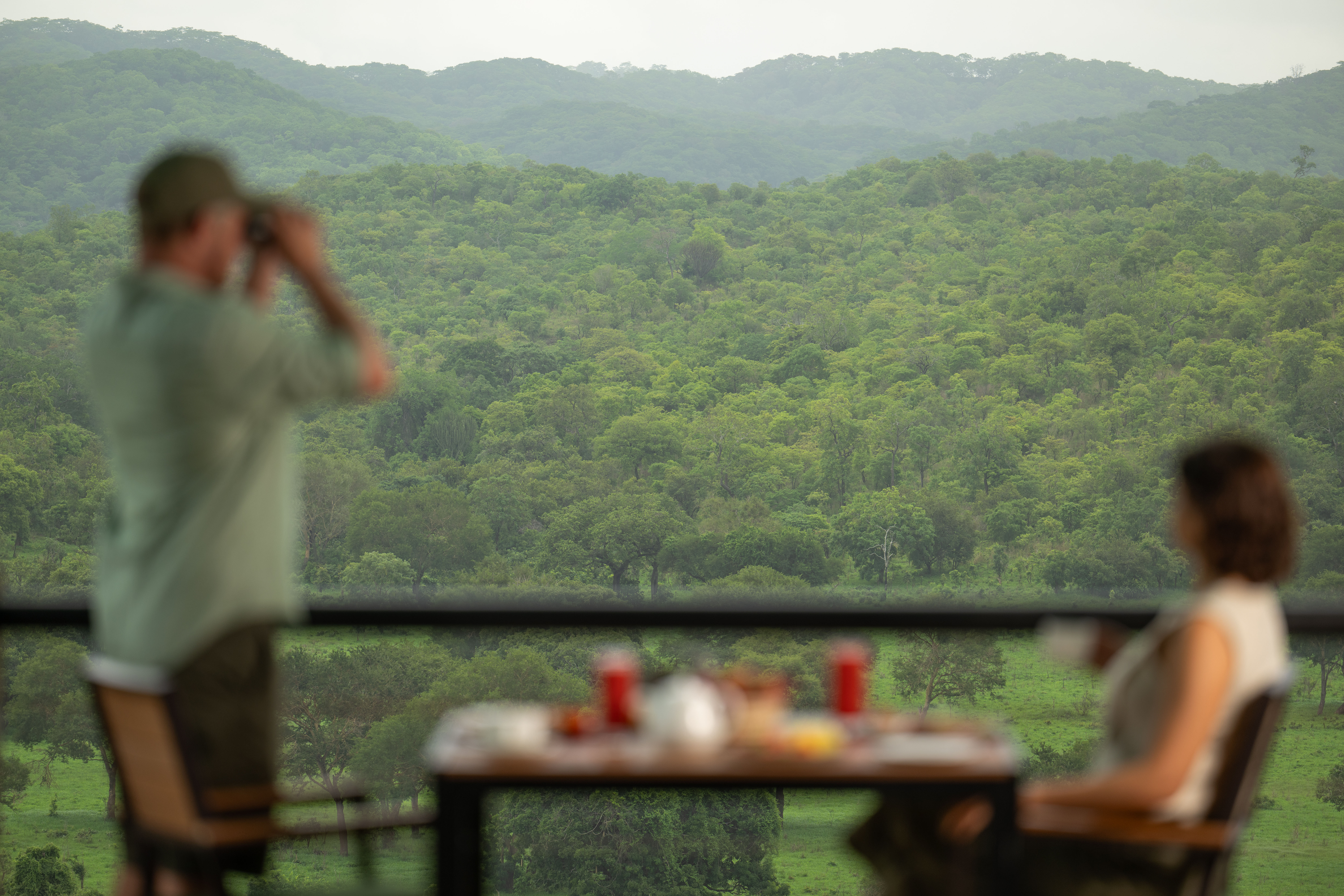Wellworth mikumi wildlife lodge