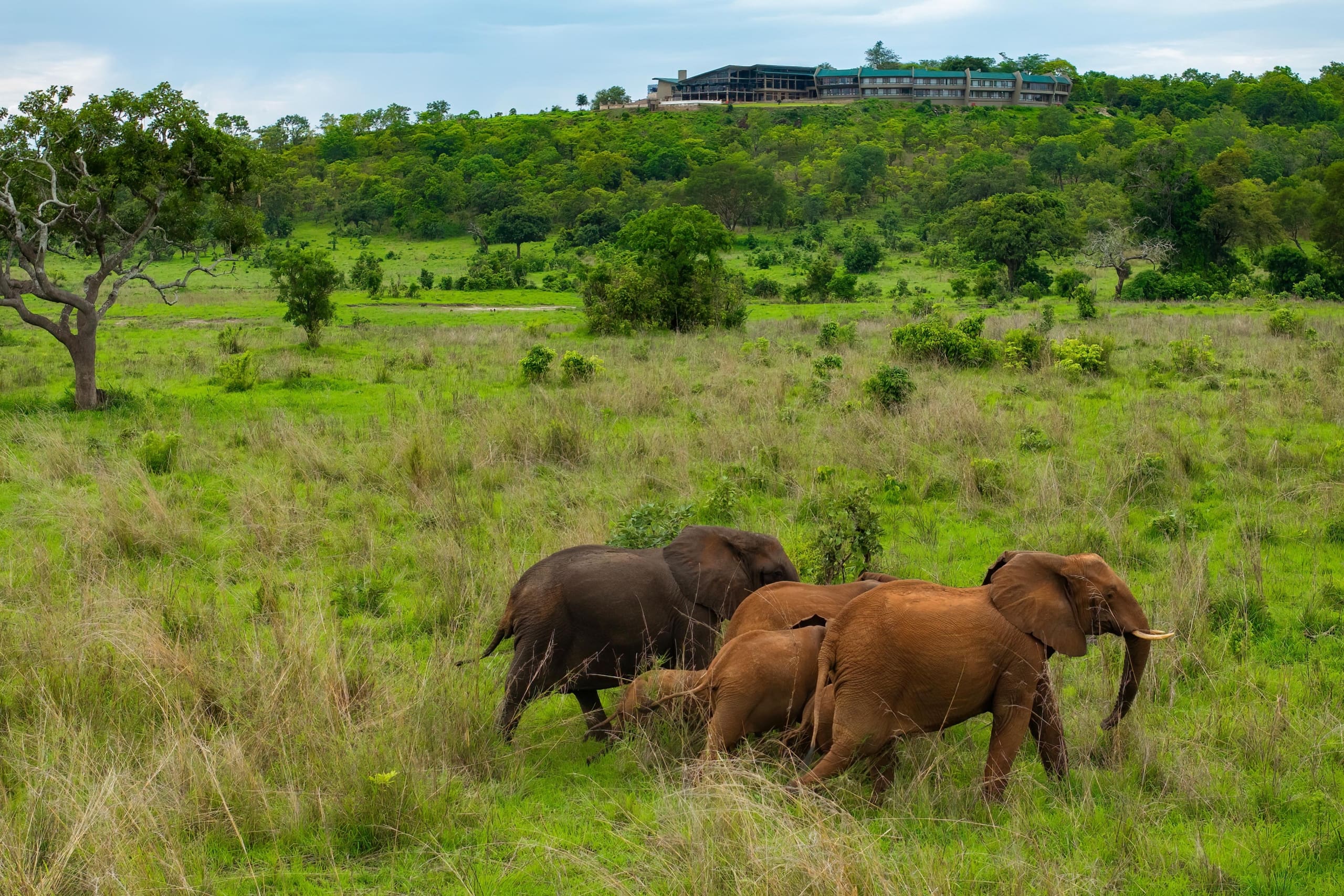 Mikumi Wildlife Lodge en Mikumi