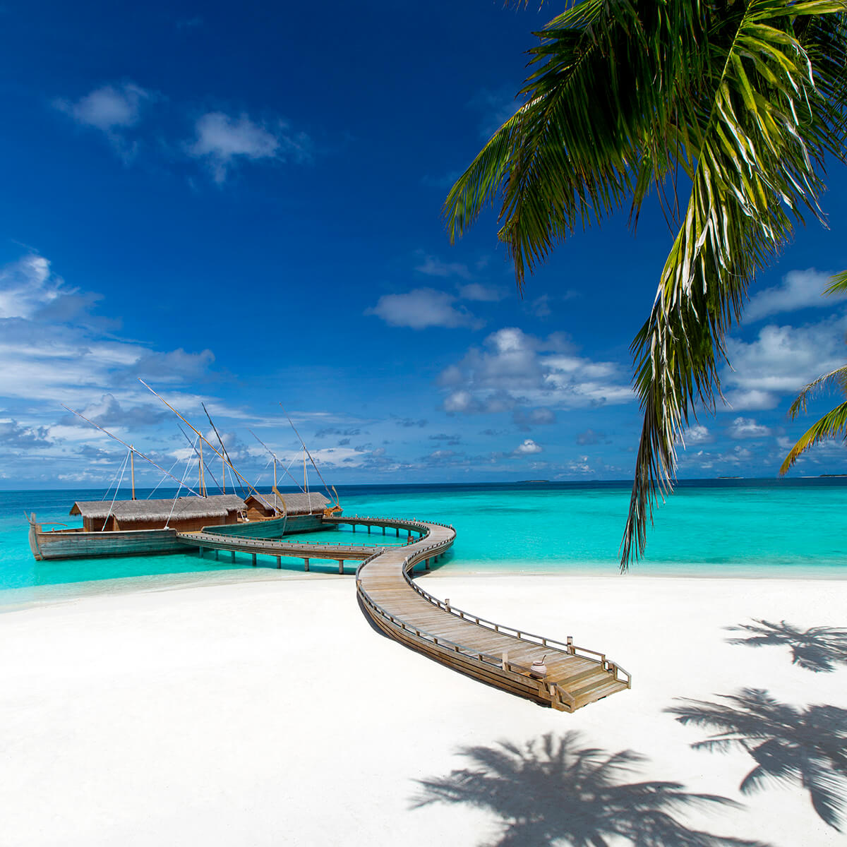 Milaidhoo maldives batheli by the reef 2 1200x1200 1