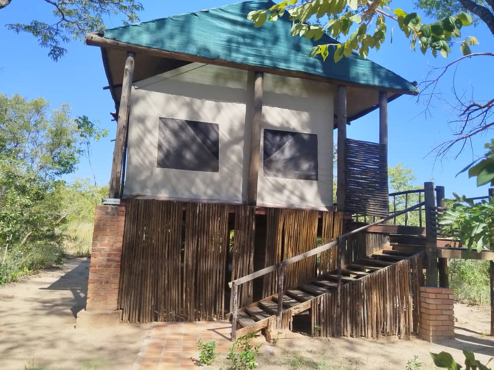 Miombo Safari Camp en Hwange