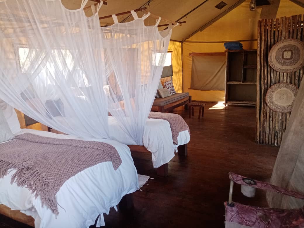 Miombo Safari Camp en Hwange