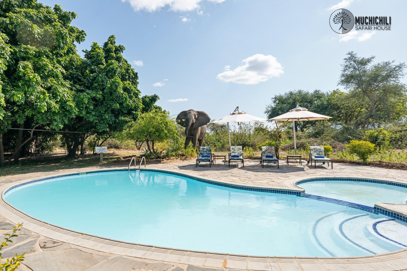 Muchichili Safari House en Lower Zambezi