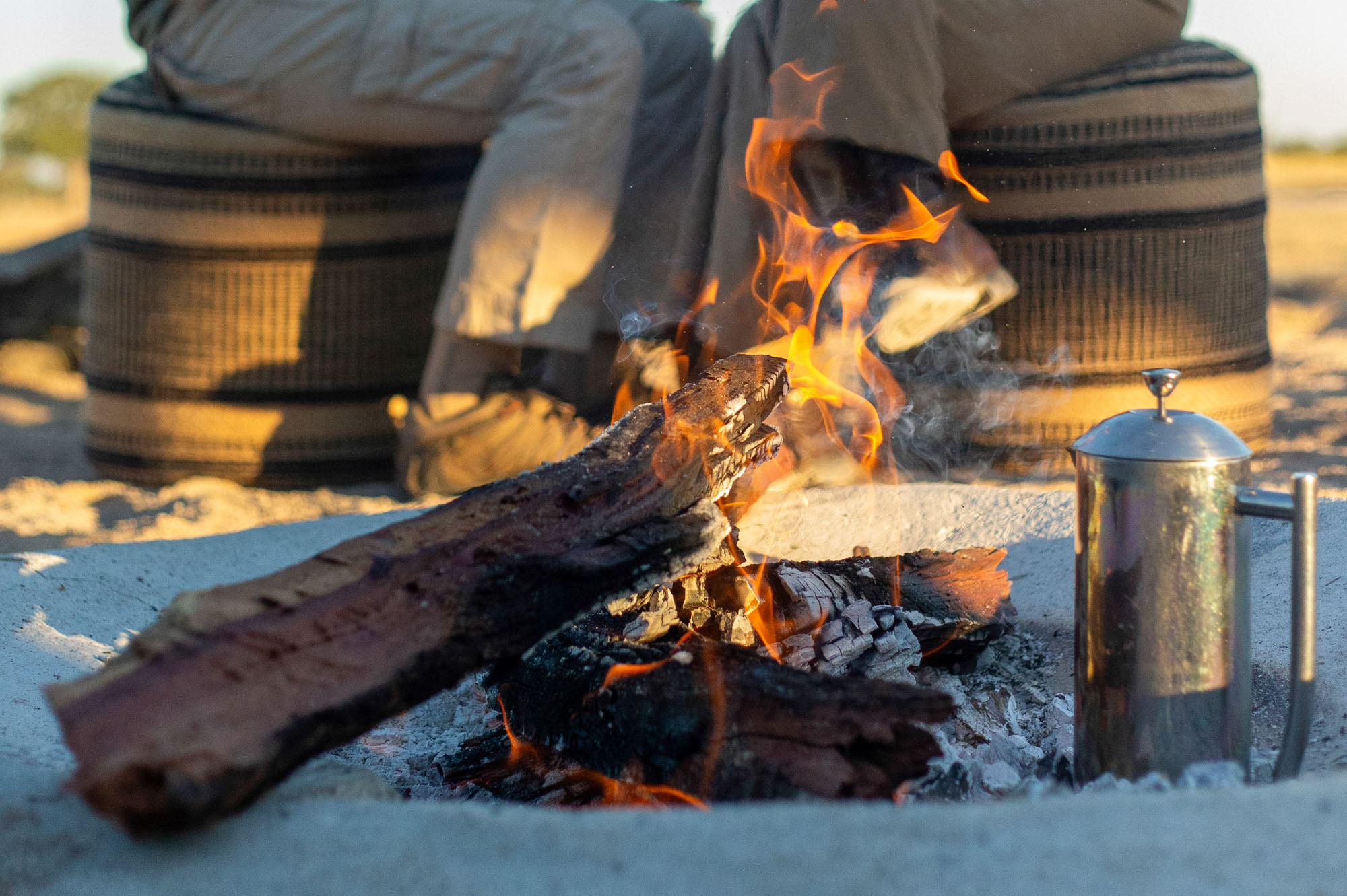 Muddy Teak en Hwange