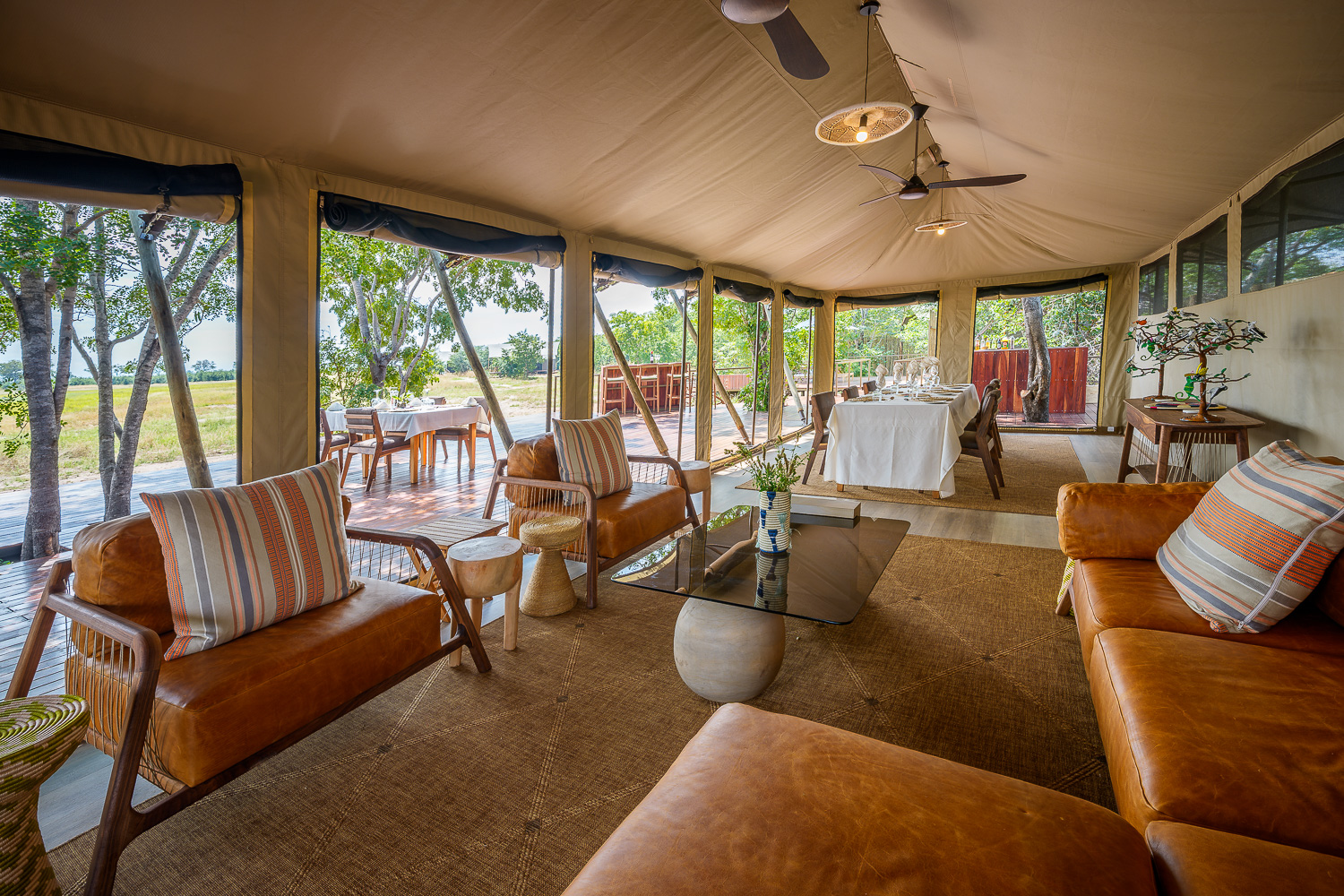 Muddy Teak en Hwange