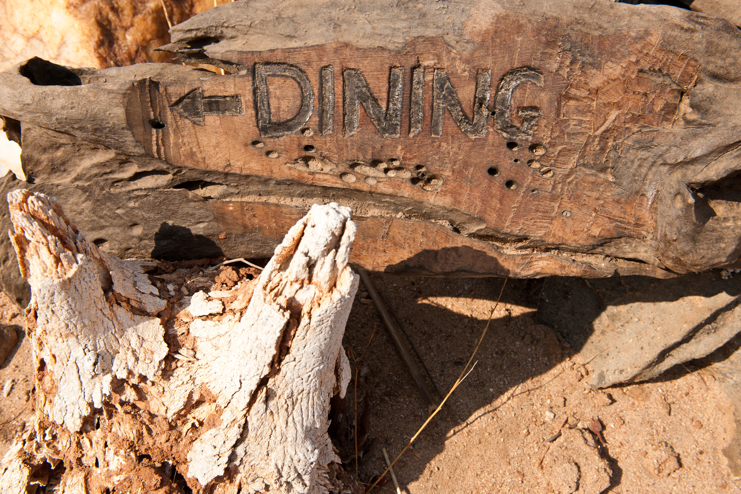 Mwagusi Safari Camp en Ruaha