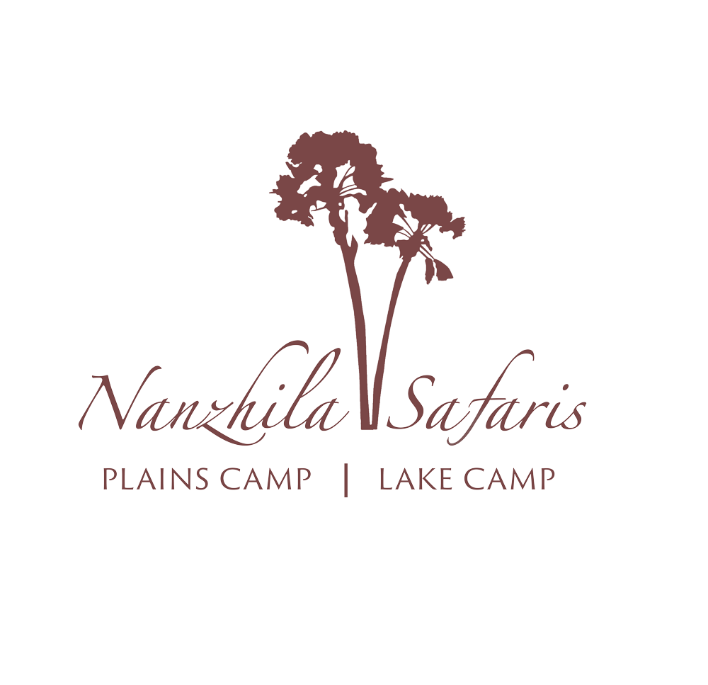 Nanzhila Plains Safari Camp en Nanzhila Plains