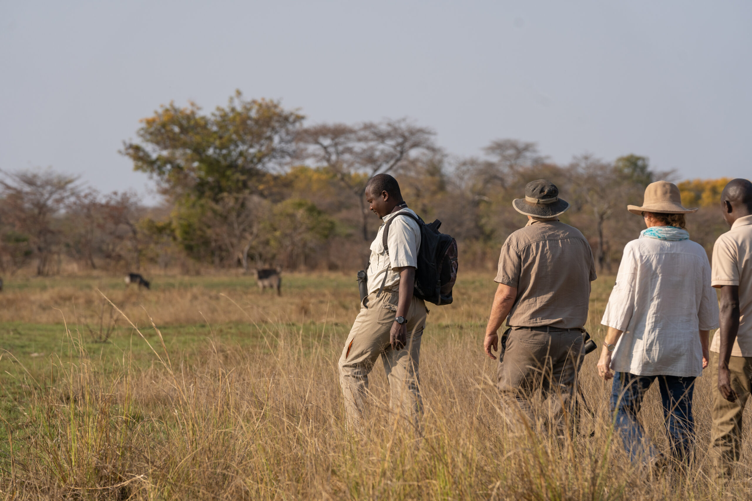 Nanzhila Plains Safari Camp en Nanzhila Plains
