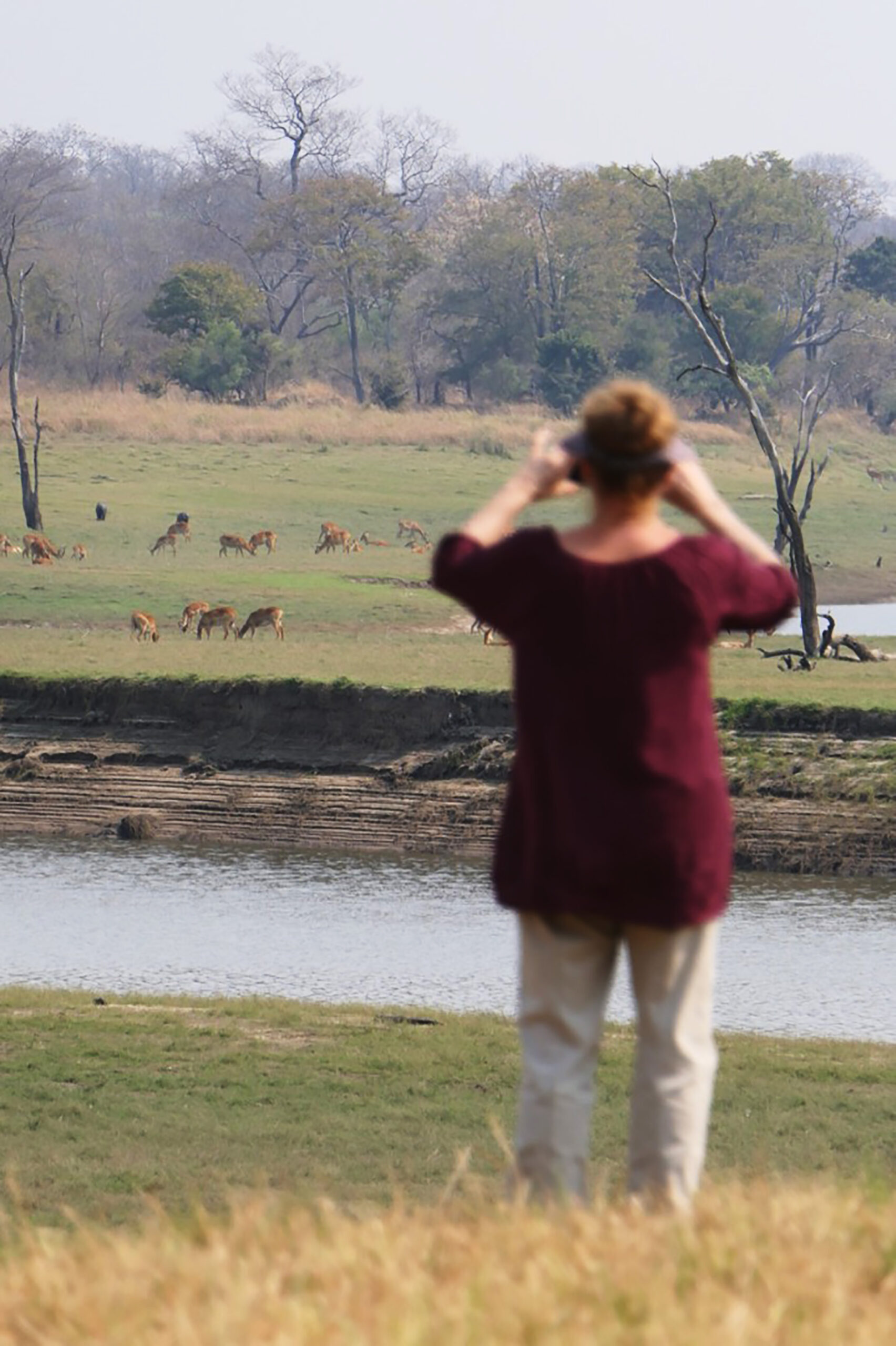 Nanzhila Plains Safari Camp en Nanzhila Plains