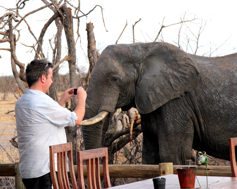 Nehimba Safari Lodge en Hwange