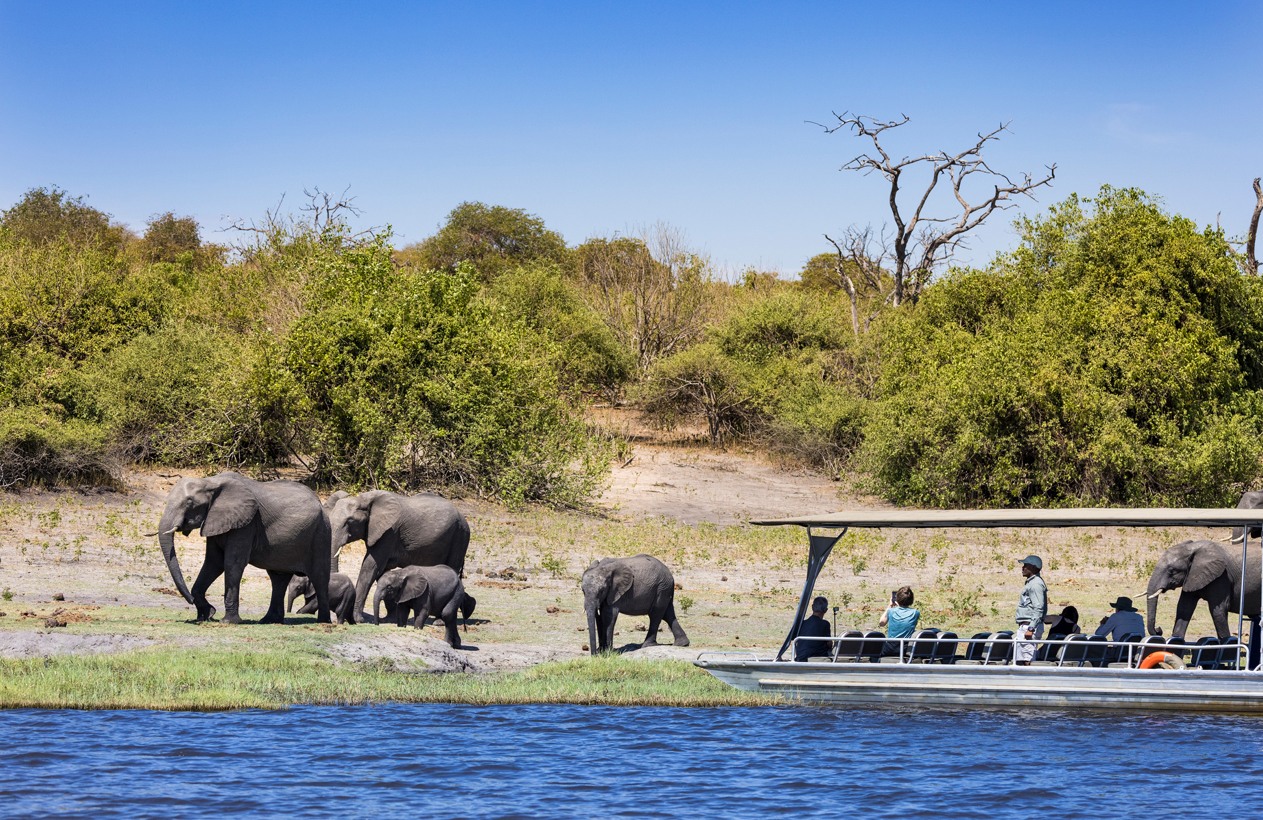 Ngoma Safari Lodge en Chobe