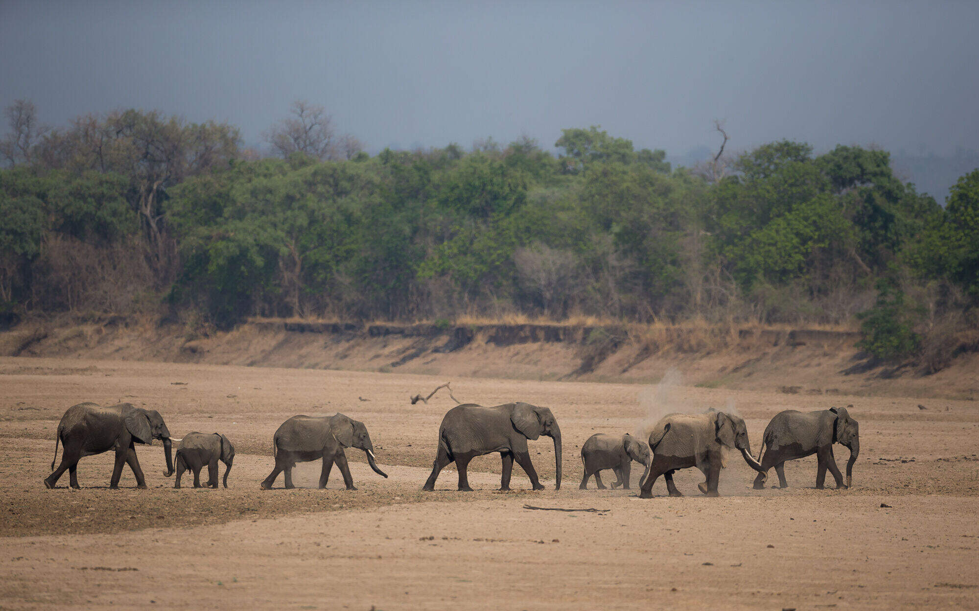 Nkonzi Camp en Luangwa Valley