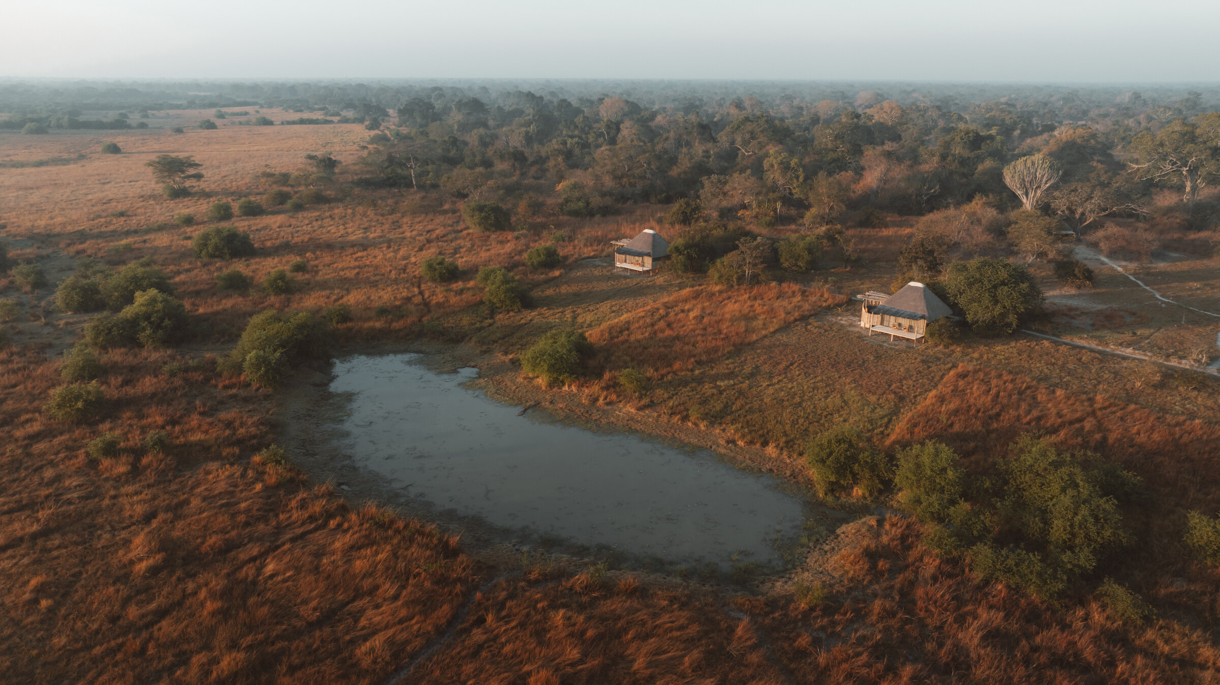 Ntemwa-Busanga Camp en Busanga Plains