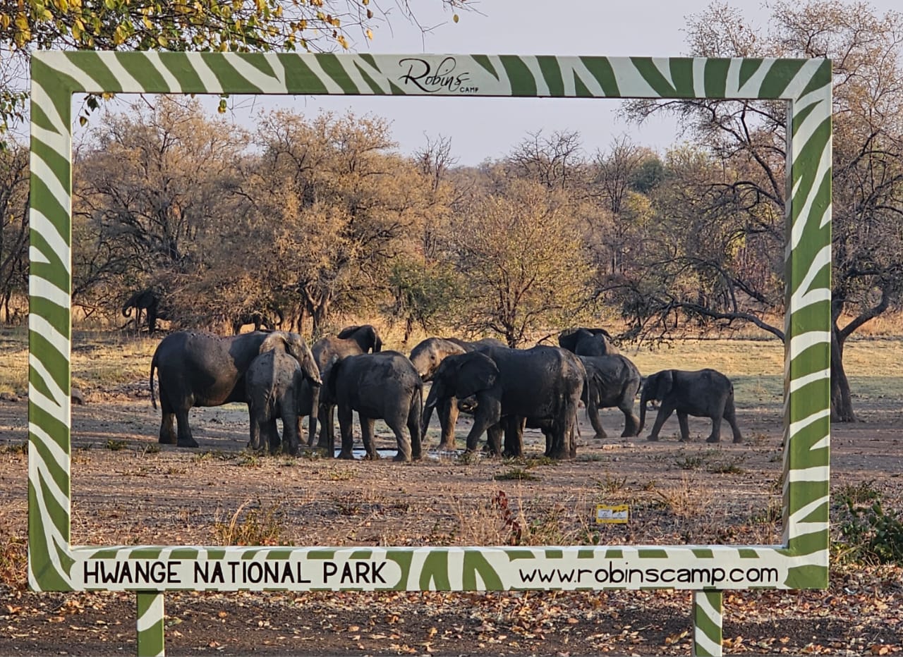 Robins Camp en Hwange