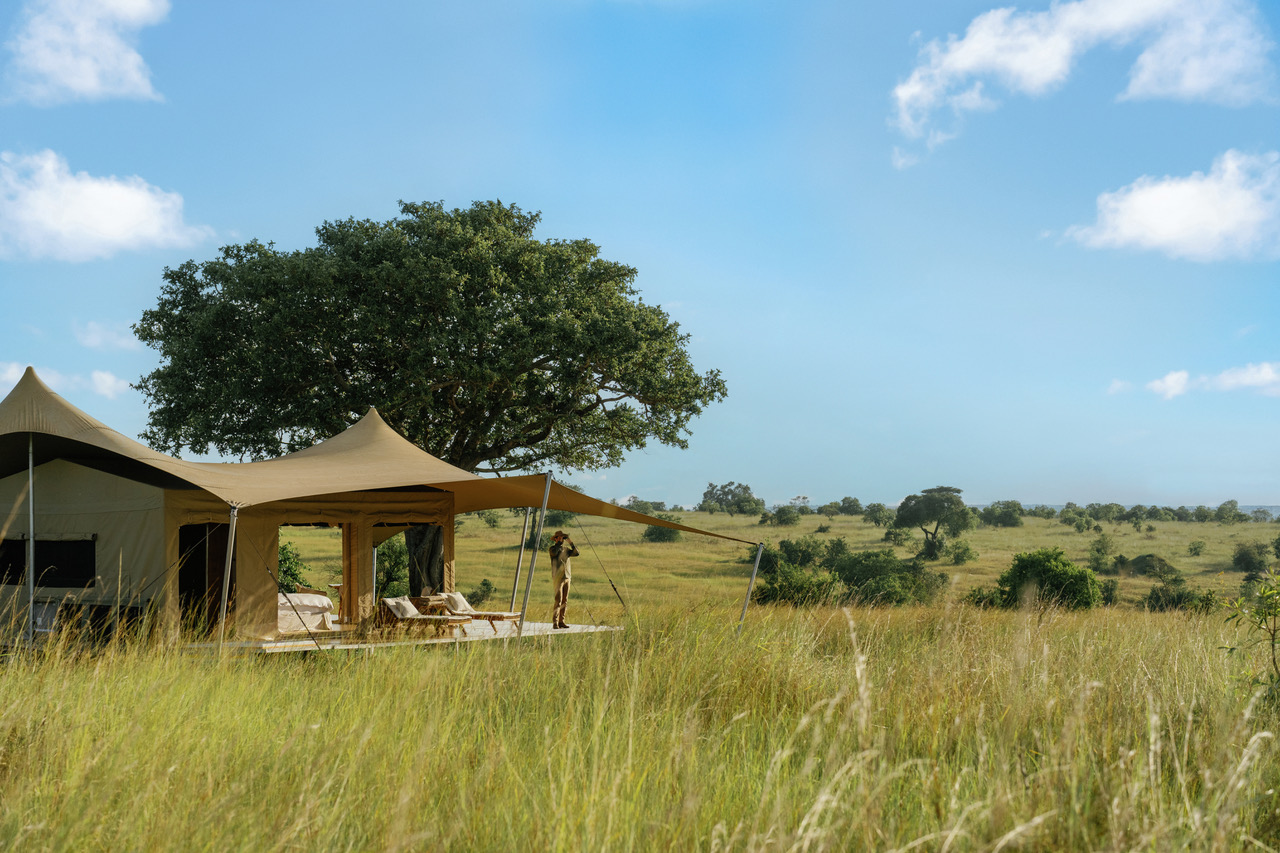 Bushtops roving honeymoon tent 2 v2