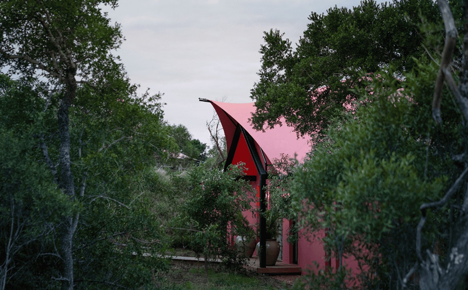 Royal Malewane Masiya's Camp en Kruger National Park
