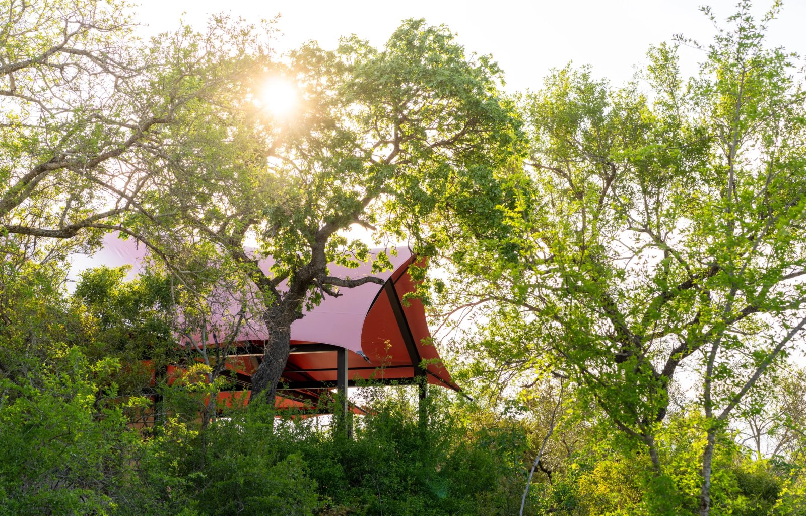 Royal Malewane Masiya's Camp en Kruger National Park
